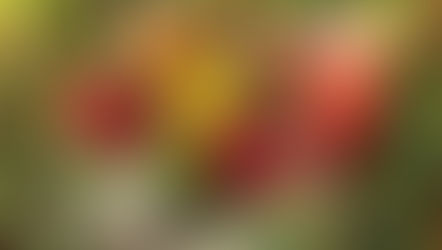 3 cocktails to share over Zoom