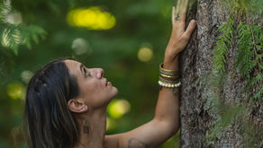 Evergreen. A celebration of resilience.